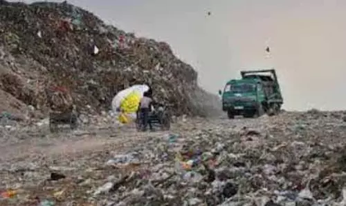 Chandigarh: खुले मैदान में बिना प्रसंस्करण के बागवानी कचरे को फेंकने के खिलाफ विरोध प्रदर्शन