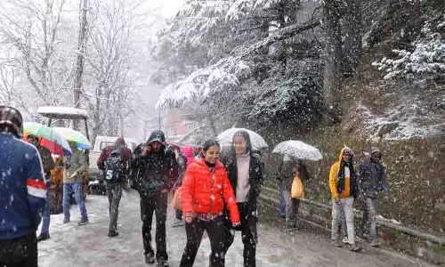 क्रिसमस से पहले Shimla और नारकंडा में बर्फबारी