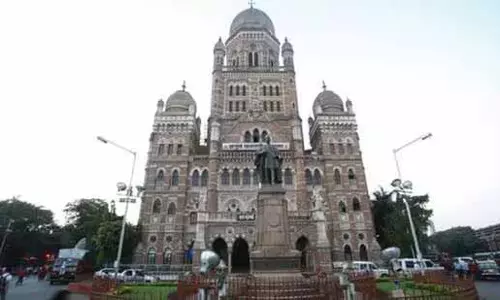 BMC का FSSAI के साथ समझौता, 10,000 स्ट्रीट फूड विक्रेताओं को प्रशिक्षित किया जायेगा