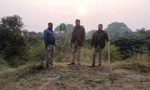 Lucknow: बाहरी इलाके में घूम रहे बाघ ने भैंस के बछड़े को मार डाला Lucknow: बाहरी इलाके में घूम रहे बाघ ने भैंस के बछड़े को मार डाला