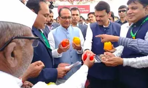 Maharashtra: PMAY के तहत महाराष्ट्र के लिए 20 लाख घरों की मंजूरी Maharashtra: PMAY के तहत महाराष्ट्र के लिए 20 लाख घरों की मंजूरी