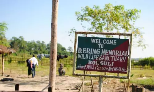 Arunachal: सांभर हिरण की हत्या के आरोप में तीन शिकारी गिरफ्तार Arunachal: सांभर हिरण की हत्या के आरोप में तीन शिकारी गिरफ्तार