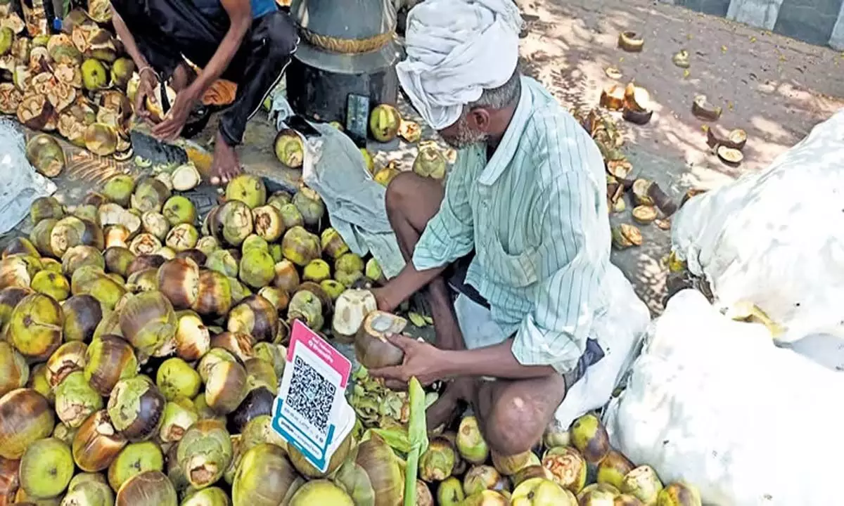 Telangana: करीमनगर जीजीएच के पास स्ट्रीट वेंडर स्थान आवंटन जांच के दायरे में