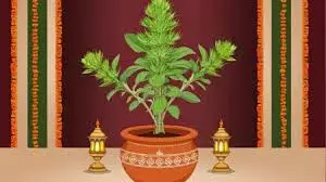 Tulsi Pujan Diwas 2024: तुलसी पूजन दिवस के दिन जरूर करें इन मंत्रों का जप