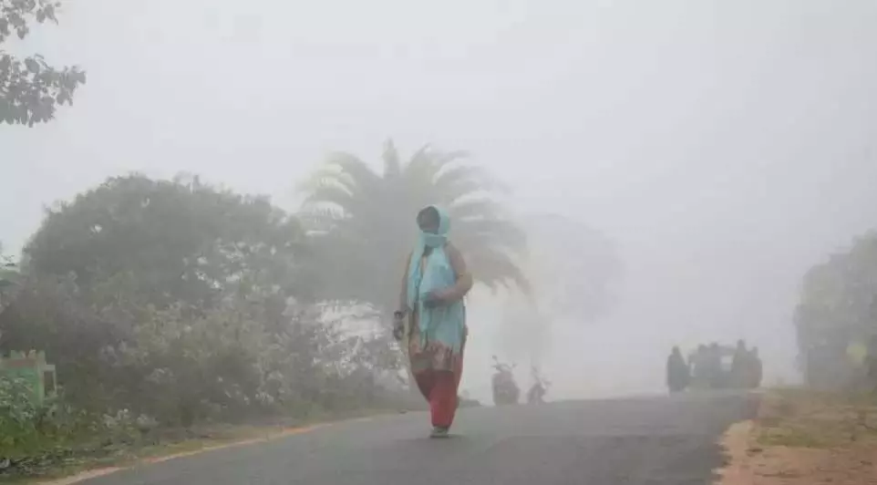 लगातार बारिश के बावजूद पर्यटकों का North Andhra में आना रुक नहीं रहा