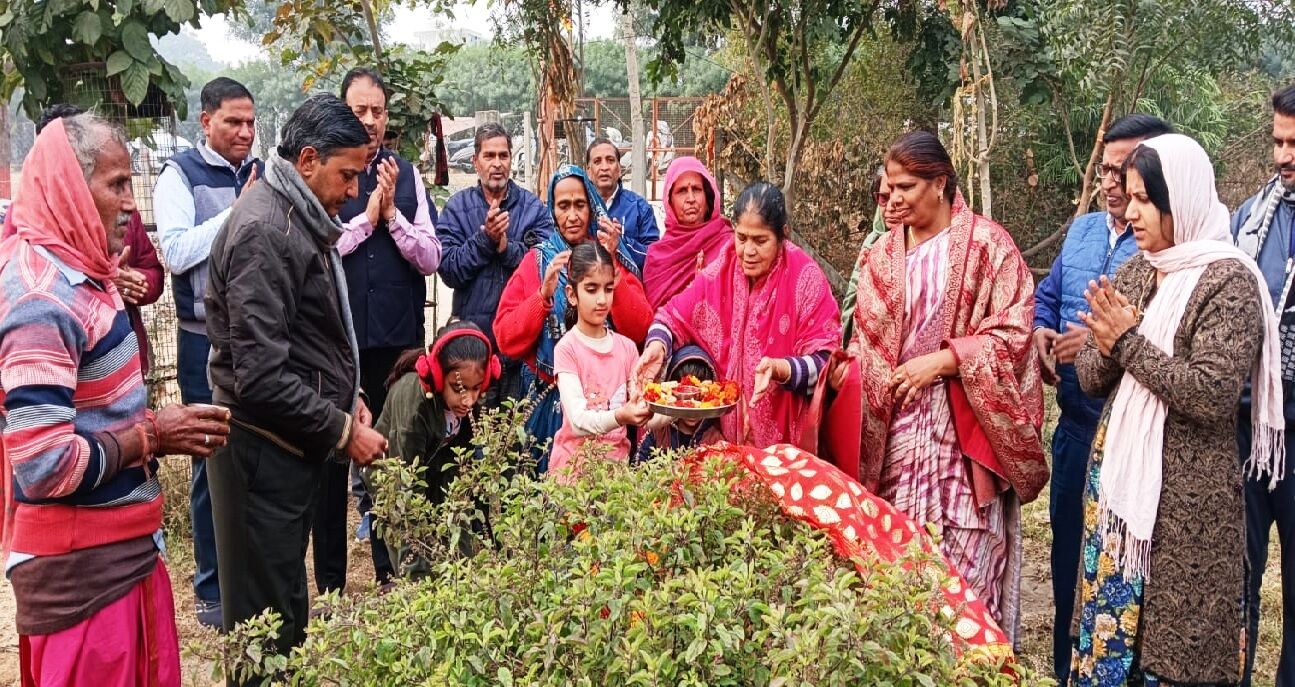 सुमंगल सेवा संस्थान ने Tulsi पूजन कर, चुनरी ओढ़ाकर वितरित किये 251 पौधे