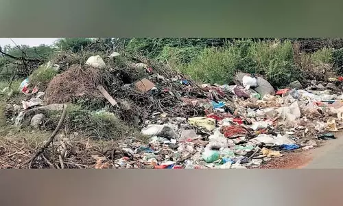 Guntur Municipal ने खाली पड़े भूखंडों की समस्या से निपटने के लिए प्रयास तेज कर दिए Guntur Municipal ने खाली पड़े भूखंडों की समस्या से निपटने के लिए प्रयास तेज कर दिए