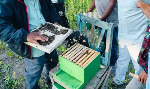 Assam : आजीविका का समर्थन करने के लिए 55 मधुमक्खी बक्से वितरित किए