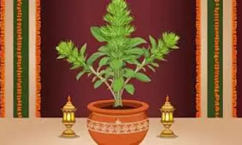 Tulsi Pujan Diwas 2024: तुलसी पूजन दिवस के दिन जरूर करें इन मंत्रों का जप Tulsi Pujan Diwas 2024: तुलसी पूजन दिवस के दिन जरूर करें इन मंत्रों का जप