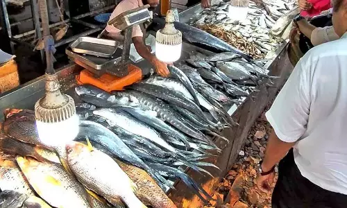 Kerala में मछली की कीमतें रिकॉर्ड ऊंचाई पर पहुंचीं Kerala में मछली की कीमतें रिकॉर्ड ऊंचाई पर पहुंचीं