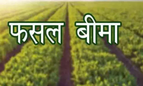 Bundi: प्रधानमंत्री फसल बीमा योजना अंतर्गत 31 दिसंबर तक करवा लें रबी फसलों का बीमा Bundi: प्रधानमंत्री फसल बीमा योजना अंतर्गत 31 दिसंबर तक करवा लें रबी फसलों का बीमा