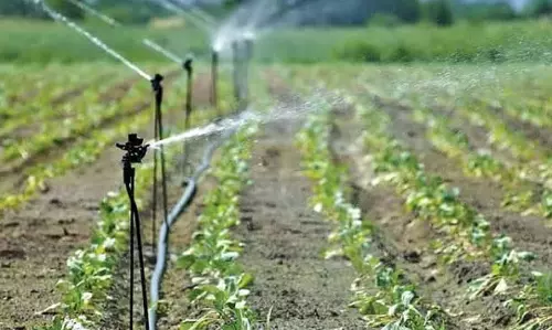 Sahibabad: सोसायटियों में भी बोरवेल के लिए भू-जल एवं लघु सिंचाई विभाग से एनओसी लेनी होगी