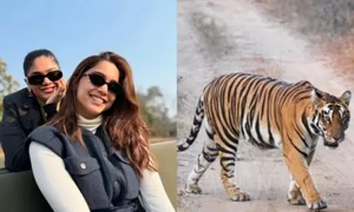 Sharvari का क्रिसमस सफारी, सितारों और बाघों के इर्द-गिर्द है Sharvari का क्रिसमस सफारी, सितारों और बाघों के इर्द-गिर्द है