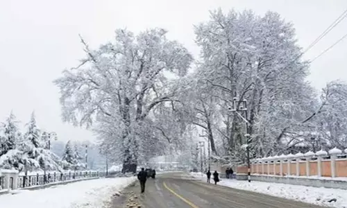 Kashmir: शीतलहर का प्रकोप जारी, श्रीनगर में तापमान शून्य से 7.3 डिग्री सेल्सियस नीचे