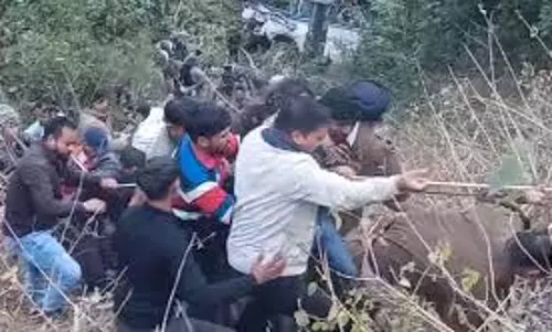 Nainital: भीमताल में बस खाई में गिरी, तीन लोगों की मौत की पुष्टि, दर्जनों घायल