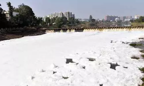 नदी प्रदूषण : एनजीटी का भोर, नसरपुर के स्थानीय निकायों को जवाब प्रस्तुत करने का निर्देश