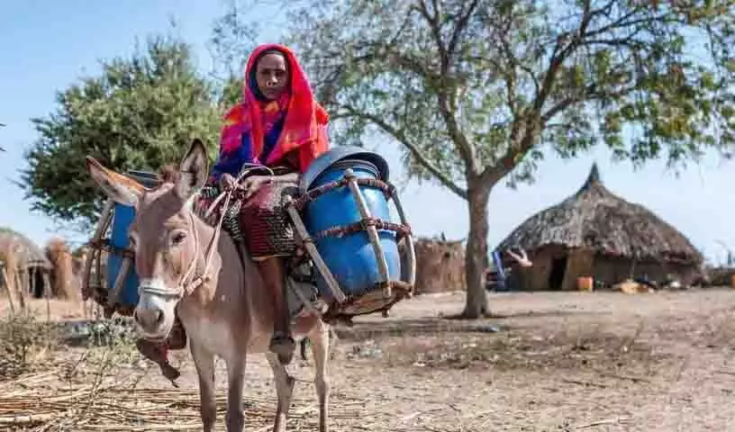 Hyderabad: स्वदेशी संरक्षित क्षेत्रों के बारे में आपको जो कुछ भी जानना चाहिए