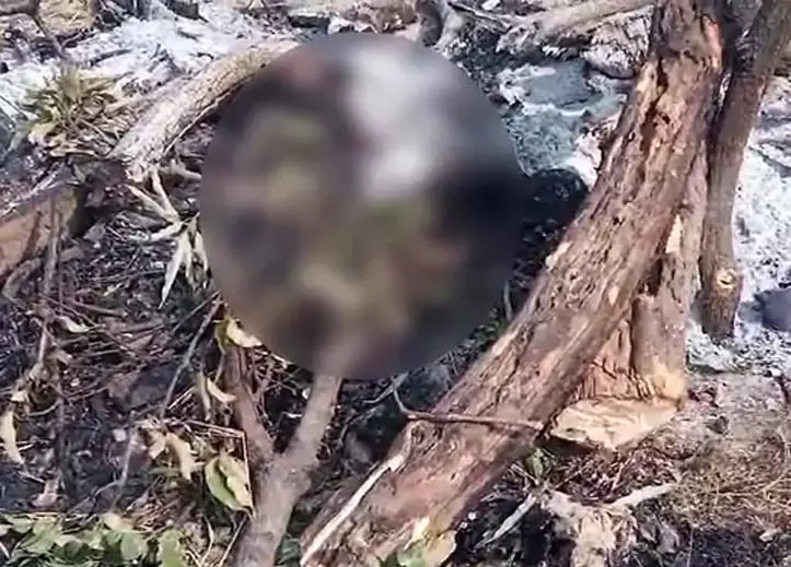 BREAKING: महिला की चिता में बुजुर्ग को धकेल दिया, दर्दनाक मौत BREAKING: महिला की चिता में बुजुर्ग को धकेल दिया, दर्दनाक मौत