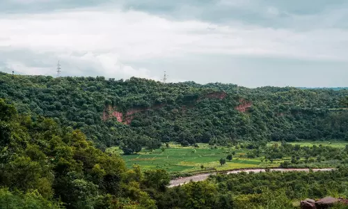 Haryana में पहाड़ियों का सीमांकन किया जाएगा Haryana में पहाड़ियों का सीमांकन किया जाएगा