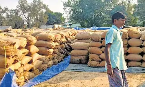 Odisha के बरगढ़ में धान की खरीद पर ‘लागू’ कटौती का असर Odisha के बरगढ़ में धान की खरीद पर ‘लागू’ कटौती का असर