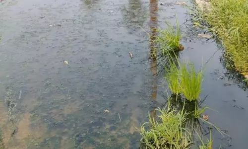 Patna: दो सप्ताह से नौरंगा गांव की सड़कों पर बह रहा नाले का पानी Patna: दो सप्ताह से नौरंगा गांव की सड़कों पर बह रहा नाले का पानी