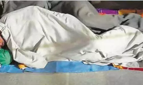 Haryana : नरवाना में और अधिक आश्रय गृहों की आवश्यकता Haryana : नरवाना में और अधिक आश्रय गृहों की आवश्यकता