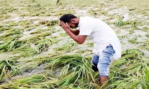 Odisha में बेमौसम बारिश से फसल बर्बाद होने से किसान ने आत्महत्या कर ली