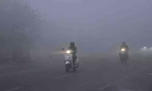 Punjab and Haryana भीषण ठंड की चपेट में