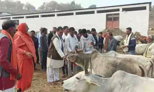 गौवंश भी एक तीर्थ हैं,गौ माता कामधेनु हैं: Swami सदाशिव नित्यानंद गिरी महाराज गौवंश भी एक तीर्थ हैं,गौ माता कामधेनु हैं: Swami सदाशिव नित्यानंद गिरी महाराज