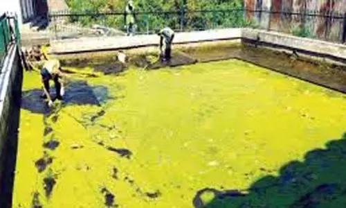NLCO द्वारा श्रीनगर में 10 मृत झरनों को बहाल किया गया