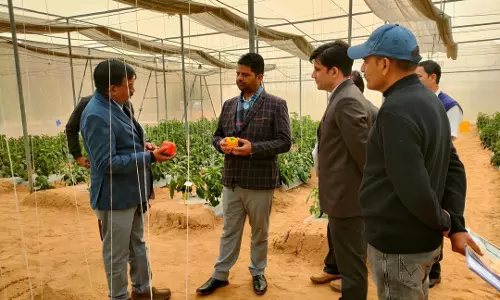 Jaipur: आधुनिक खेती के तौर-तरीके सिखाने में उत्कृष्टता केंद्रों की अहम भूमिका Jaipur: आधुनिक खेती के तौर-तरीके सिखाने में उत्कृष्टता केंद्रों की अहम भूमिका