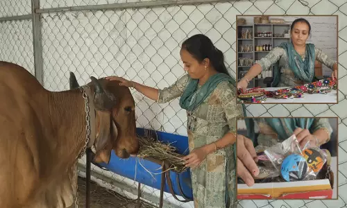 B.Ed महिला ने अमरेली में शुरू किया पशुपालन व्यवसाय, प्रति माह कमाती है हजारों