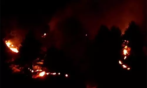 जम्मू-कश्मीर: डोडा के गंडोह भलेसा गांव के पास जंगल में लगी आग, 15 FIR दर्ज