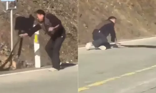 जब सुनसान सड़क पर ज़हरीले सांप से भिड़ गया युवक, फिर क्या हुआ... देखें- Viral Video जब सुनसान सड़क पर ज़हरीले सांप से भिड़ गया युवक, फिर क्या हुआ... देखें- Viral Video