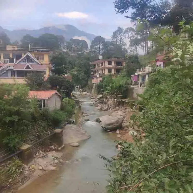 Palampur: शहरीकरण के कारण हरित क्षेत्र खतरे में