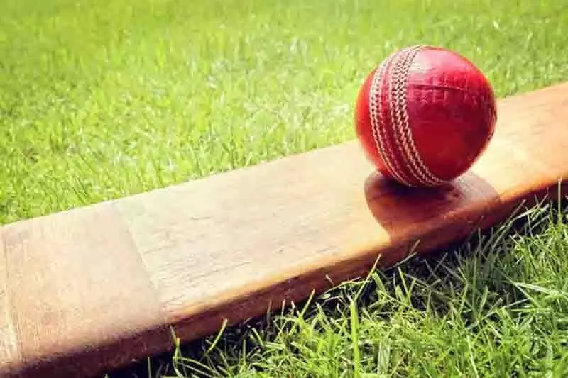 स्थानीय खिलाड़ियों ने Cricket प्रतियोगिता में हार का सामना किया