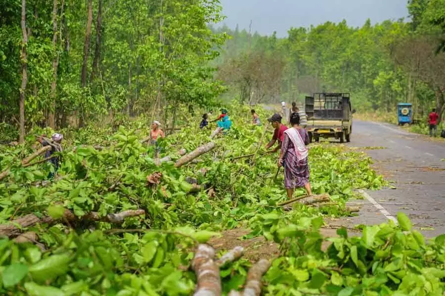 India वन स्थिति रिपोर्ट 2023 पर संपादकीय