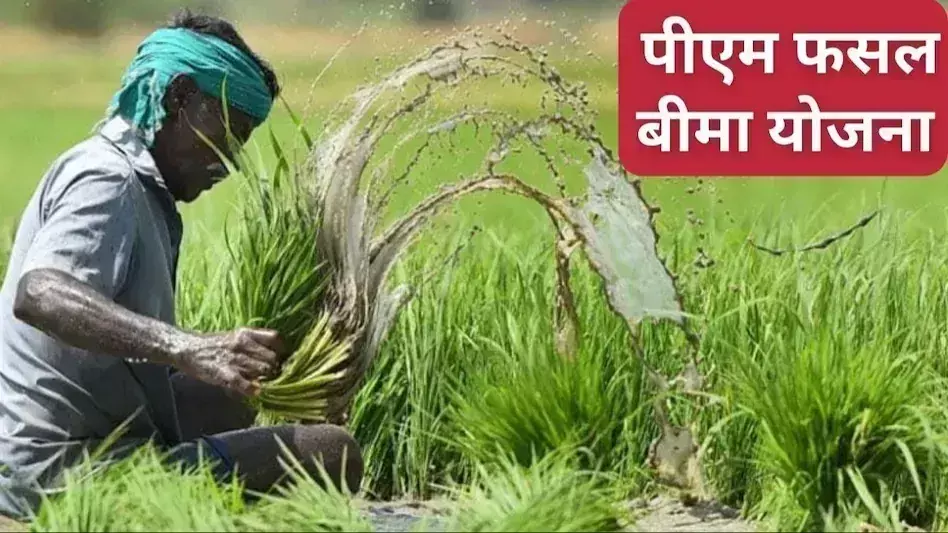 Jalore: प्रधानमंत्री फसल बीमा योजना व पुनर्गठित मौसम आधारित फसल बीमा योजना Jalore: प्रधानमंत्री फसल बीमा योजना व पुनर्गठित मौसम आधारित फसल बीमा योजना
