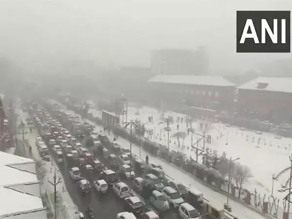 ग्रीष्मकालीन राजधानी Srinagar में मौसम की पहली बर्फबारी हुई, सर्दियों का स्वर्ग बन गया