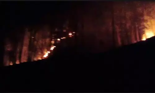 Jammu-Kashmir:  इस इलाके में जंगल में लगी भीषण आग, भारी नुकसान