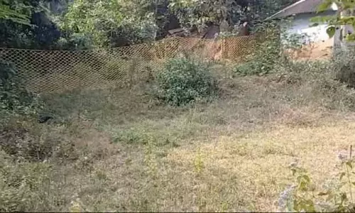 Baripada: भटकती ‘ज़ीनत’ के लिए नायलॉन की बाड़