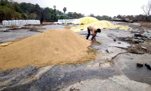 Odisha: बेमौसम बारिश से फसल बर्बाद होने से दो किसानों की मौत Odisha: बेमौसम बारिश से फसल बर्बाद होने से दो किसानों की मौत