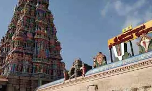 मरुधामलाई और अलगर मंदिरों में दिन भर का अन्नधनम मरुधामलाई और अलगर मंदिरों में दिन भर का अन्नधनम