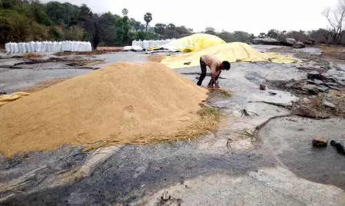 बेमौसम बारिश के कारण फसल को हुए नुकसान ने Odisha में दो किसानों की जान ले ली