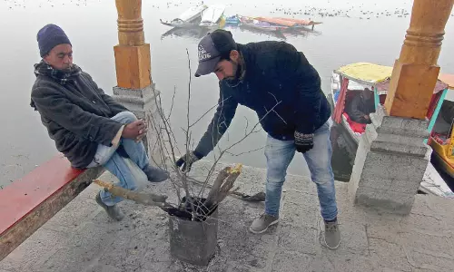 बर्फीली परिस्थितियों में वैली रील्स