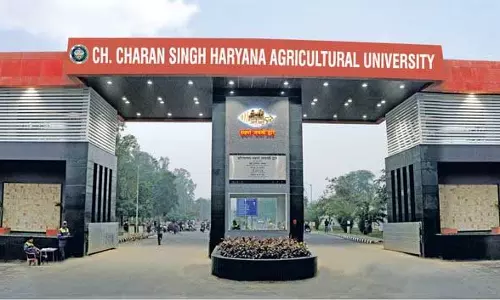 Haryana : एचएयू प्रतिनिधिमंडल ने सांसद शैलजा से मुलाकात कर वैज्ञानिक की मौत Haryana : एचएयू प्रतिनिधिमंडल ने सांसद शैलजा से मुलाकात कर वैज्ञानिक की मौत