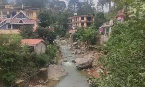 Palampur: शहरीकरण के कारण हरित क्षेत्र खतरे में Palampur: शहरीकरण के कारण हरित क्षेत्र खतरे में