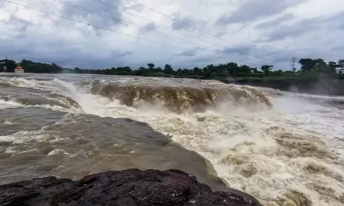 Nashik: गोदावरी नदी में प्रदूषण कम करने के लिए प्रयास करने का आह्वान