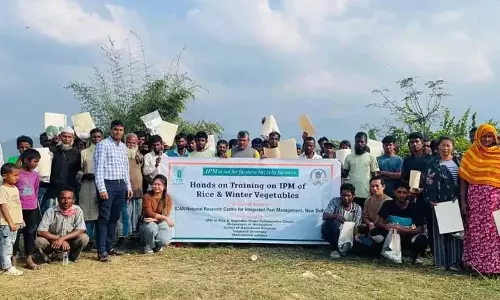 Nagaland : चावल और बागवानी फसलों पर आईपीएम’ पर प्रशिक्षण