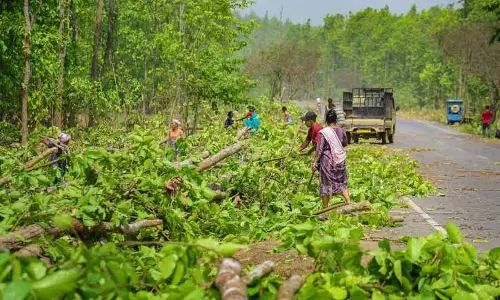India वन स्थिति रिपोर्ट 2023 पर संपादकीय India वन स्थिति रिपोर्ट 2023 पर संपादकीय